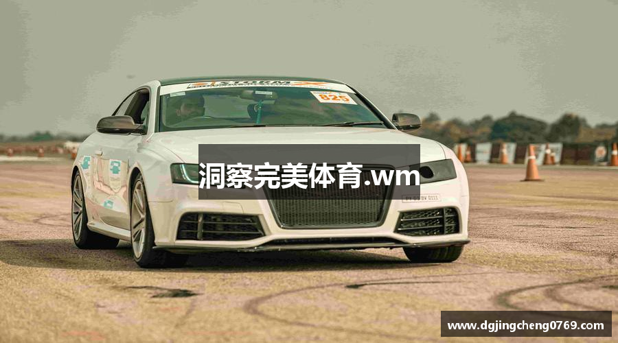 洞察完美体育.wm